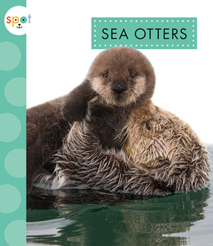 Sea Otters by Anastasia Suen