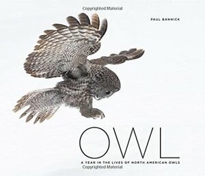 Owl: A Year in the Lives of North American Owls by Paul Bannick