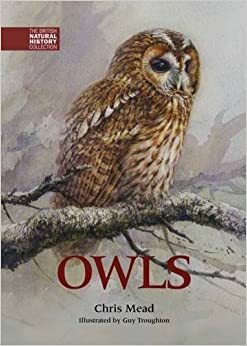 Owls by Chris Mead