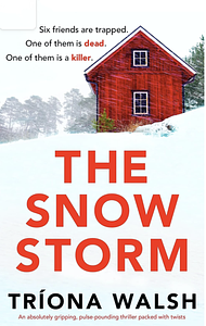 The Snowstorm by Triona Walsh, Triona Walsh