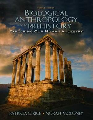 Biological Anthropology and Prehistory: Exploring Our Human Ancestry by Patricia C. Rice