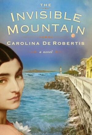 The Invisible Mountain by Caro De Robertis