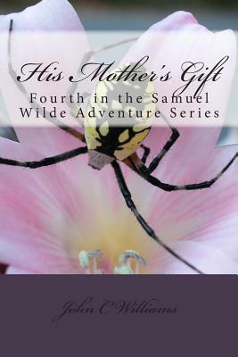 His Mother's Gift: The Next Generation by John C. Williams