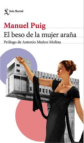 El beso de la mujer araña by Manuel Puig