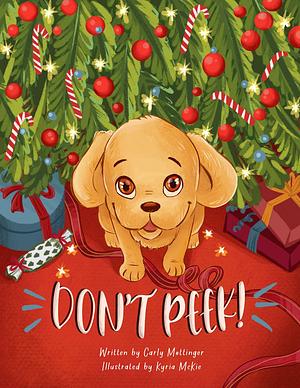 Don't Peek! by Carly Mottinger, Carly Mottinger, Carly Mottinger