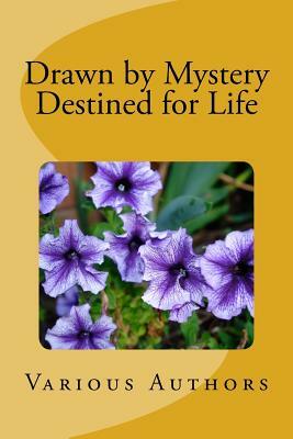Drawn by Mystery, Destined for Life by David Gibson