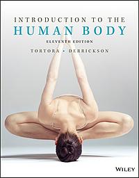 Introduction to the Human Body by Bryan H. Derrickson, Gerard J. Tortora