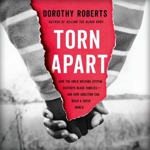 Torn Apart: How the Child Welfare System Destroys Black Families--and How Abolition Can Build a Safer World by Dorothy Roberts