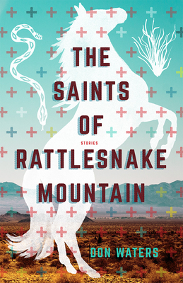 The Saints of Rattlesnake Mountain: Stories by Don Waters