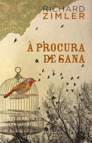 À Procura de Sana by Richard Zimler