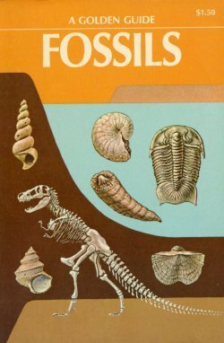 Fossils: A Golden Guide by Frank H.T. Rhodes, Raymond Perlman, Herbert Spencer Zim