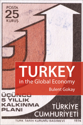 Turkey in the Global Economy: Neoliberalism, Global Shift, and the Making of a Rising Power by Bülent Gökay