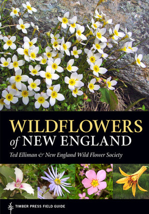 Wildflowers of New England by Ted Elliman, The New England Wildflower Society