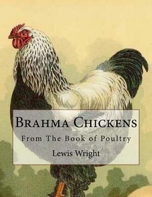 Brahma Chickens: From The Book of Poultry by Lewis Wright