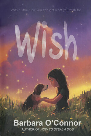 Wish by Barbara O'Connor