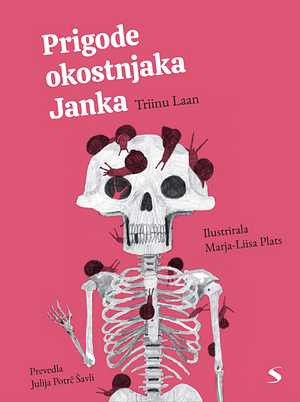 Prigode okostnjaka Janka by Triinu Laan