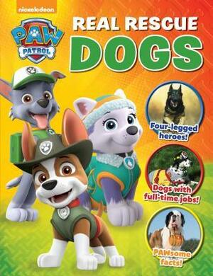 Paw Patrol: Real Rescue Dogs: (And other animals, too!) by Media Lab Books