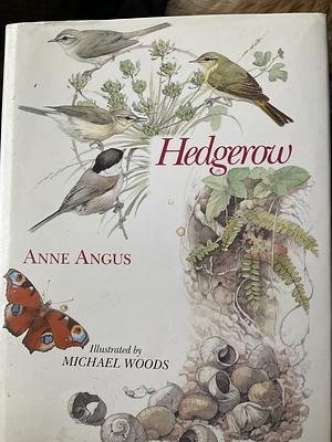 Hedgerow by Anne Angus