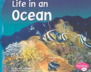 Life in an Ocean by Carol K. Lindeen