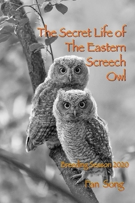 The Secret Life of Eastern Screech Owl: Breeding Season 2020 by Christian Fritschi, Max Song, Edward Song