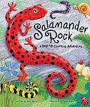 Salamander Rock: A Pop Up Counting Book by Reader's Digest