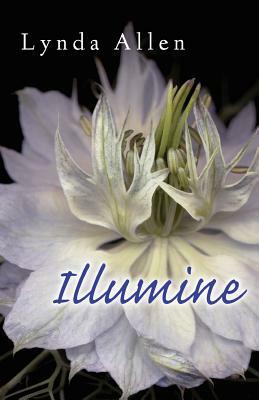 Illumine by Lynda Allen