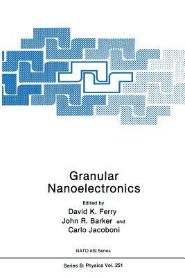 Granular Nanoelectronics by 