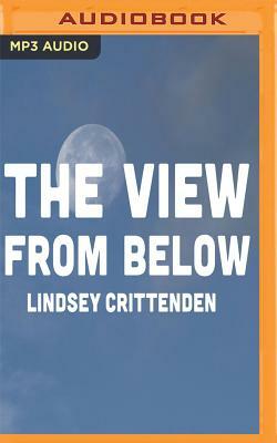 The View from Below by Lindsey Crittenden