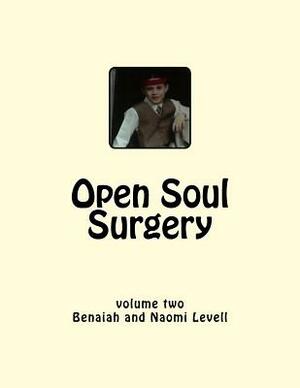 Vol. 2, Open Soul Surgery, large print edition: Seven Flames: Letters to Manasseh by Benaiah Zechariah Levell Ba, Naomi Levell