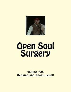 Vol. 2, Open Soul Surgery, large print edition: Seven Flames: Letters to Manasseh by Naomi Levell, Benaiah Zechariah Levell Ba