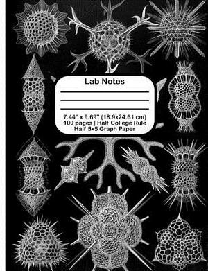 Lab Notes by Terri Jones