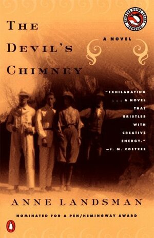 The Devil's Chimney by Anne Landsman