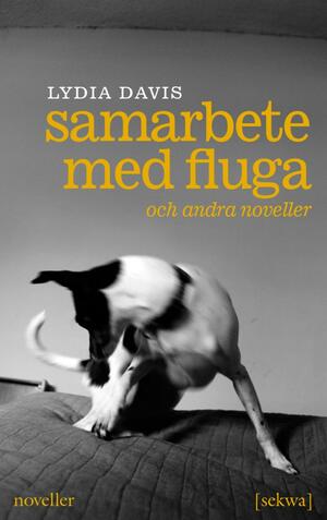 Samarbete med fluga : och andra noveller by Lydia Davis