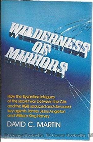 Wilderness of Mirrors by David C. Martin