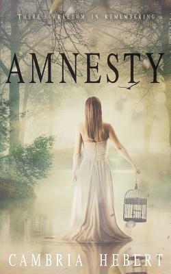 Amnesty: Amnesia Duet Book 2 by Cambria Hebert