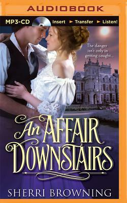 An Affair Downstairs by Sherri Browning Erwin