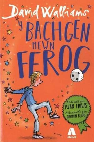 Bachgen Mewn Ffrog, Y by David Walliams