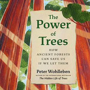 The Power of Trees: How Ancient Forests Can Save Us If We Let Them by Peter Wohlleben
