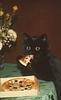 freirovsky_reads's profile picture