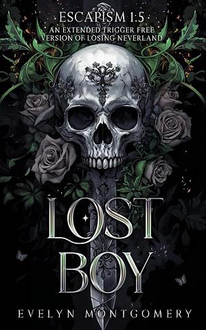 Lost Boy by Evelyn Montgomery