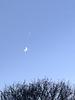 selene_0's profile picture