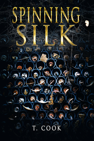 Spinning Silk by T. Cook