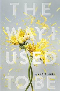 The Way I Used to Be by Amber Smith