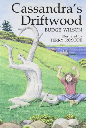 Cassandra's Driftwood by Budge Wilson