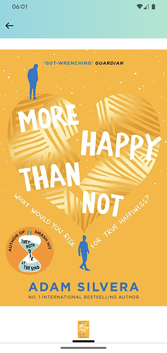 More Happy Than Not by Adam Silvera