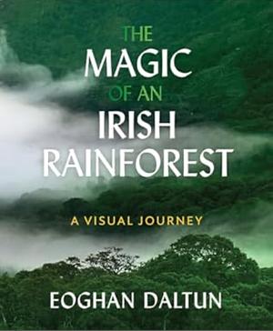 The Magic of an Irish Rainforest: A Visual Journey by Eoghan Daltun