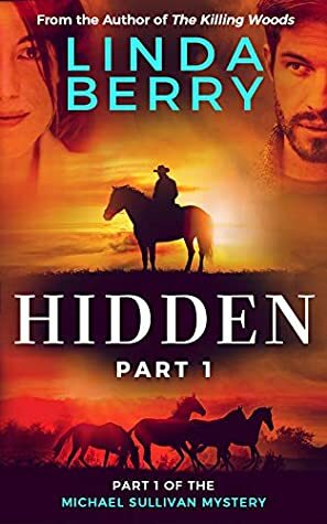 Hidden (A Michael Sullivan Mystery #1) by Linda Berry