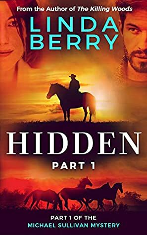 Hidden (A Michael Sullivan Mystery #1) by Linda Berry