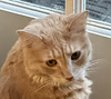 gabisch's profile picture