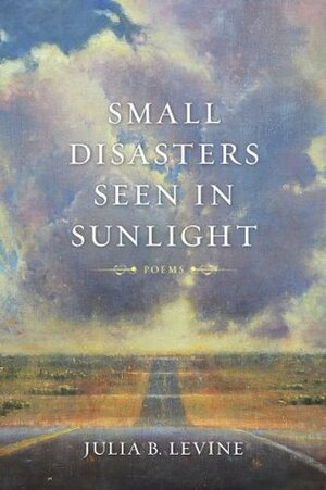 Small Disasters Seen in Sunlight: Poems by Julia B. Levine